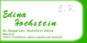 edina hochstein business card